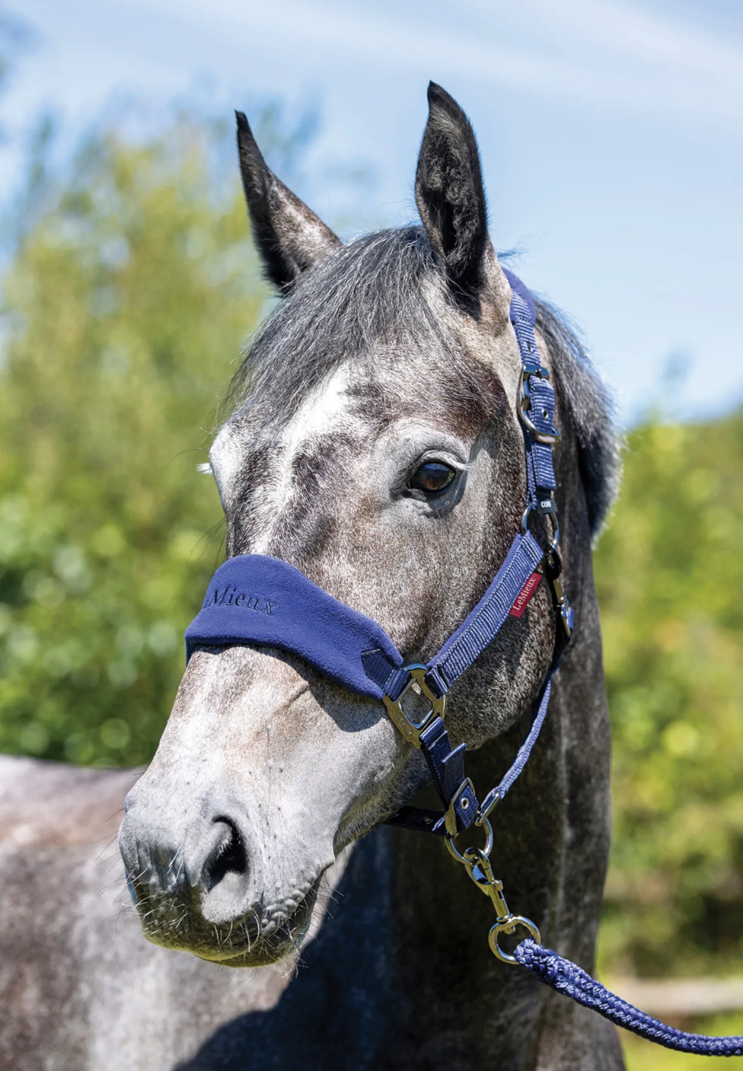 LeMieux® Vogue Halter & Rope Lead Set