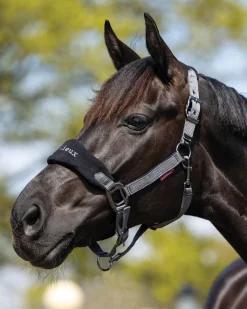 LeMieux® Vogue Halter & Rope Lead Set