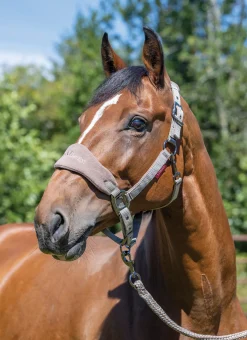 LeMieux® Vogue Halter & Rope Lead Set