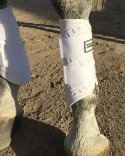 Majyk Equipe® Sport/Dressage Front Boots with Arti-Lage™ Impact Technology