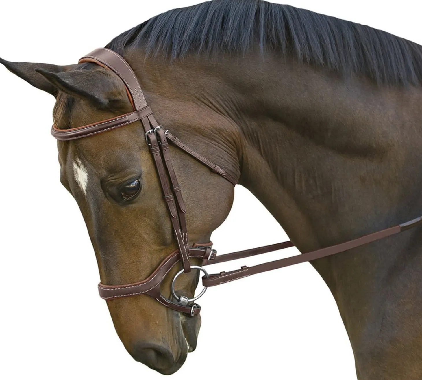 Marcel Toulouse Hybrid Jumper Bridle