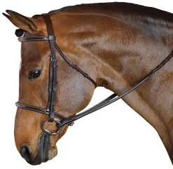 Marcel Toulouse Standard Hunter Bridle