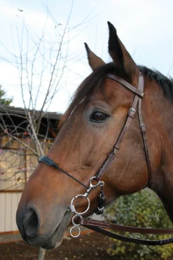 Myler® 3-Ring Combo Low Port Comfort Snaffle MB 04