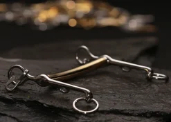 Neue Schule Transform 12mm Weymouth