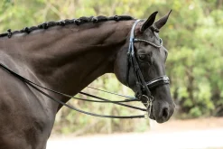 Otto Schumacher Patent Venedig Double Bridle
