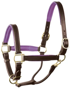 Perri’s® 1" Padded Leather Halter