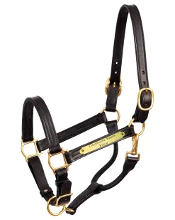 Perri’s® 1" XL Stallion Premium Leather Show Halter with Nameplate