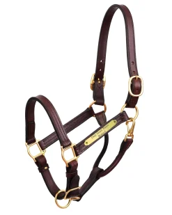 Perri’s® 1" XL Stallion Premium Leather Show Halter with Nameplate