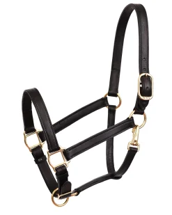 Perri’s® Leather Turnout Draft Halter