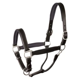 Perri’s® Padded Leather Halter Crownpiece