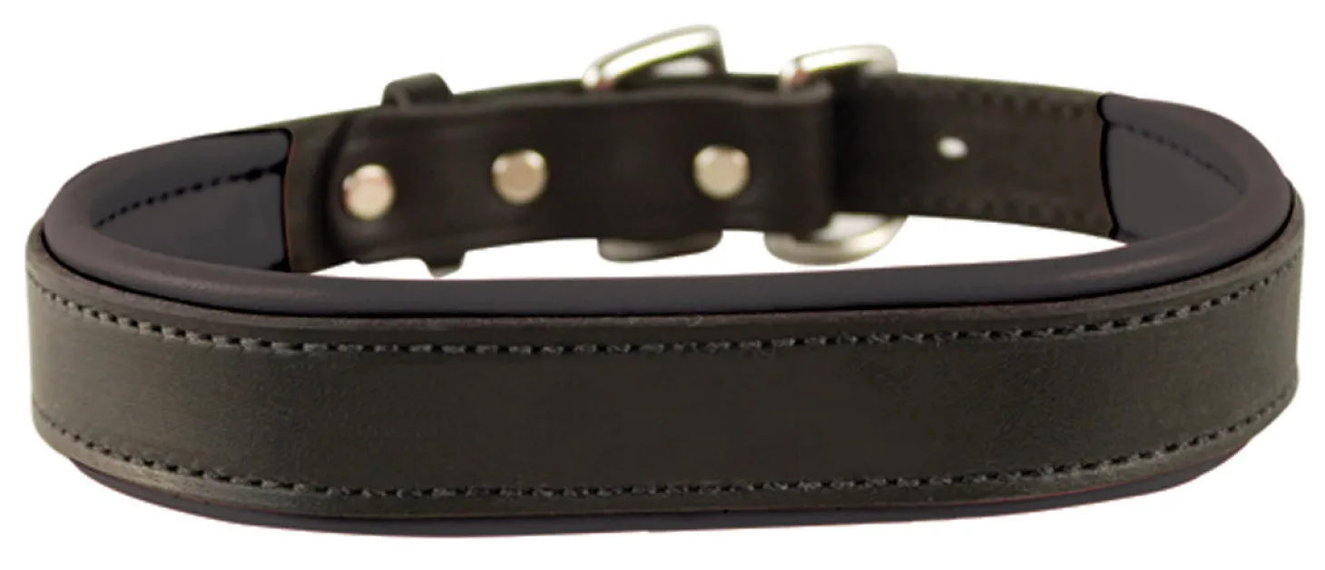 Perri’s® Padded Leather Nameplate Dog Collar