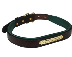 Perri’s® Padded Leather Nameplate Dog Collar