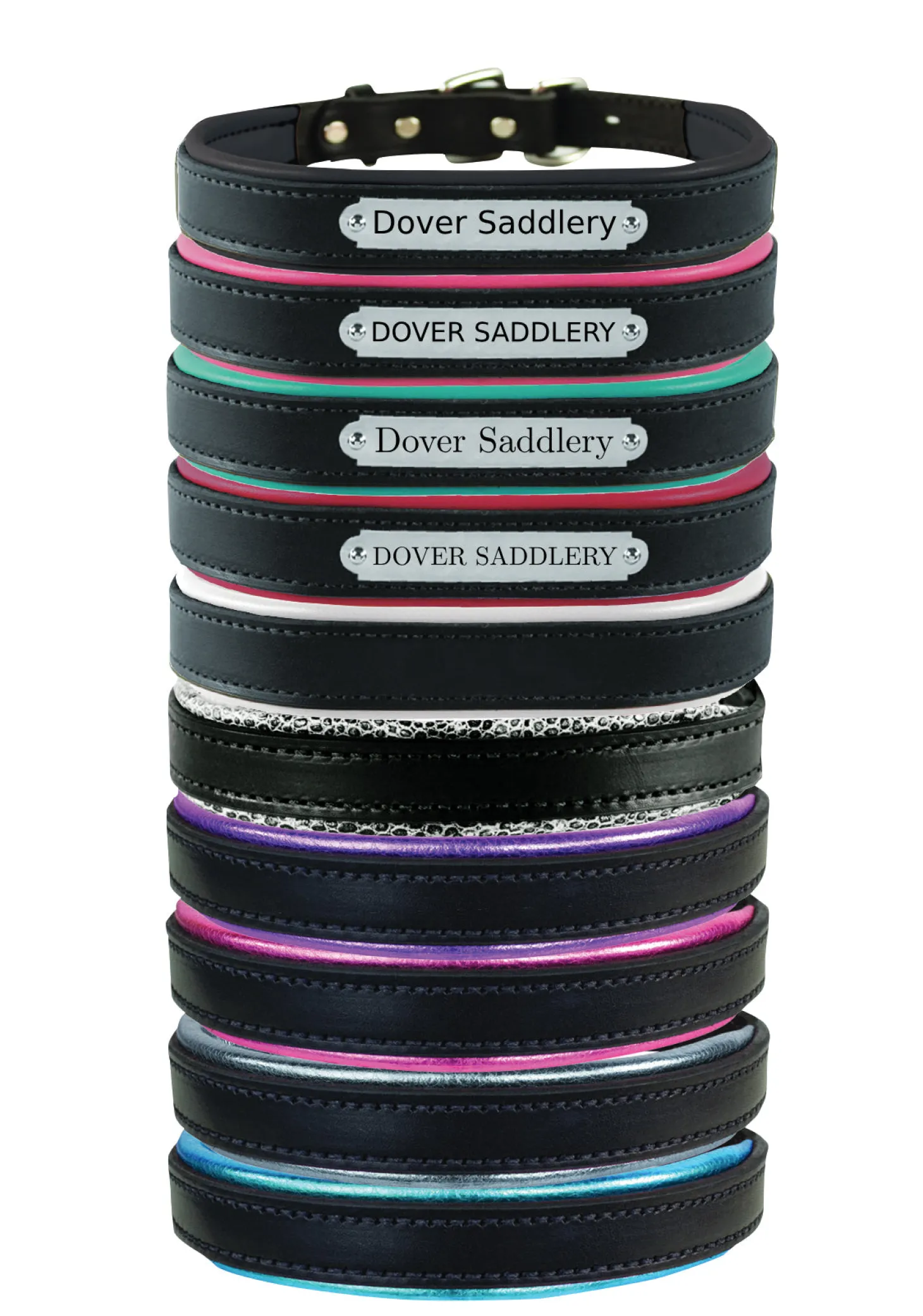 Perri’s® Padded Leather Nameplate Dog Collar