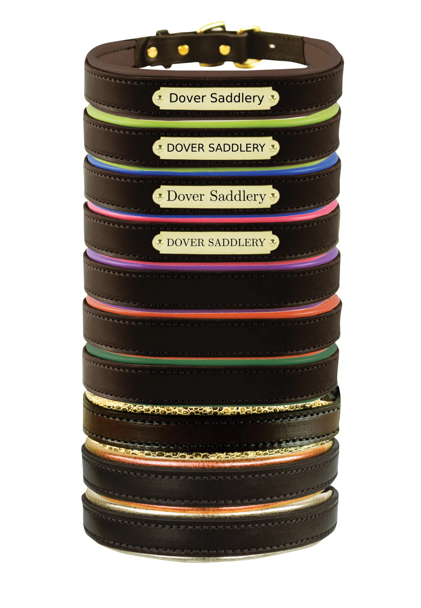 Perri’s® Padded Leather Nameplate Dog Collar