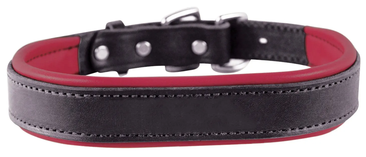 Perri’s® Padded Leather Nameplate Dog Collar