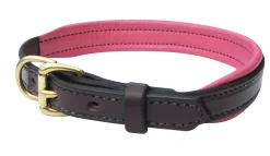 Perri’s® Padded Leather Nameplate Dog Collar