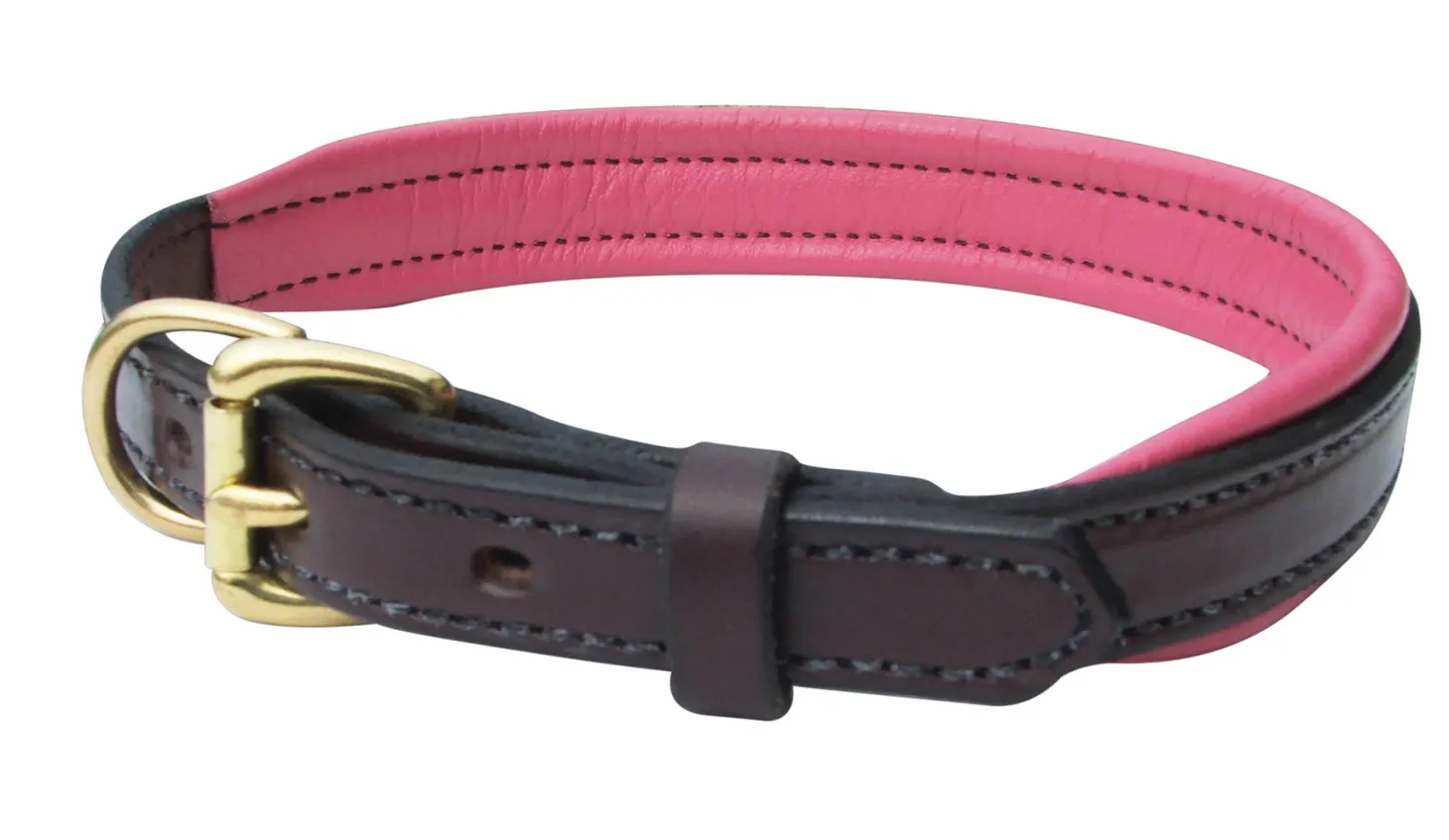 Perri’s® Padded Leather Nameplate Dog Collar
