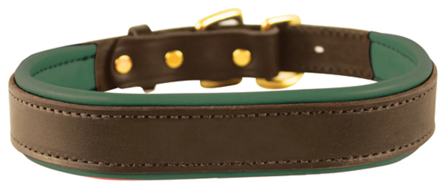 Perri’s® Padded Leather Nameplate Dog Collar
