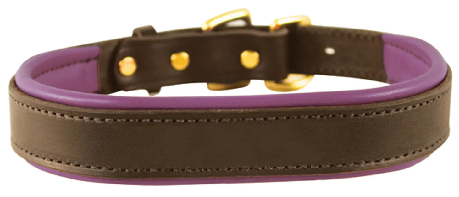 Perri’s® Padded Leather Nameplate Dog Collar
