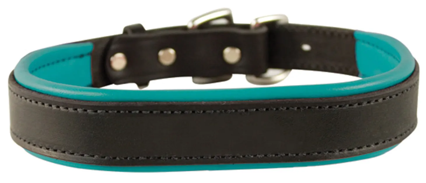 Perri’s® Padded Leather Nameplate Dog Collar