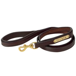 Perri’s® Padded Leather Nameplate Dog Leash