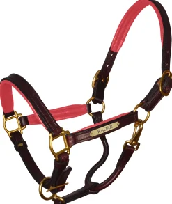 Perri’s® Padded Leather Pony Halter with Nameplate