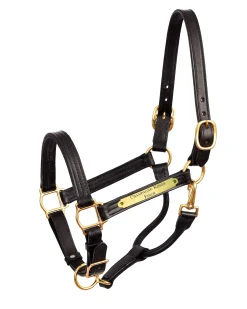 Perri’s® Premium 1" Leather Show Halter with Nameplate