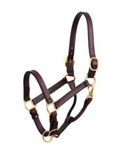 Perri’s® Premium Leather XL Show Halter
