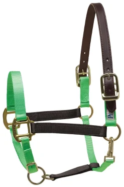 Perri’s® Premium Nylon Breakaway Halter