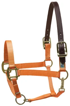 Perri’s® Premium Nylon Breakaway Halter