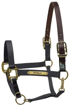 Perri’s® Premium Nylon Safety Halter with Nameplate