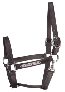 Perri’s® Track Style Leather Turnout Halter with Snap Throat and Nameplate