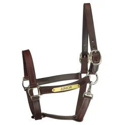 Perri’s® Track Style Leather Turnout Halter with Snap Throat and Nameplate