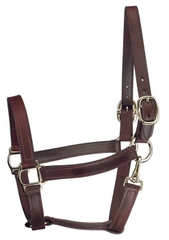 Perri’s® Track Style Turnout Halter with Snap
