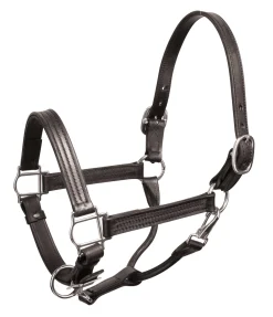 Perri’s® Premium Leather Show Halter