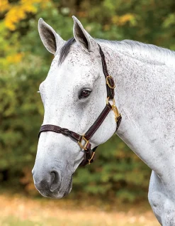 Perri’s® Twisted Leather Halter