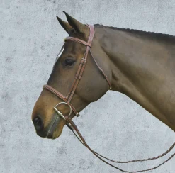 Pessoa® Pro Fancy-Stitched Raised Bridle