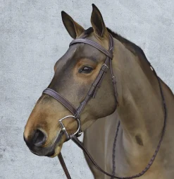 Pessoa® Pro Fancy-Stitched Wide Nose Bridle