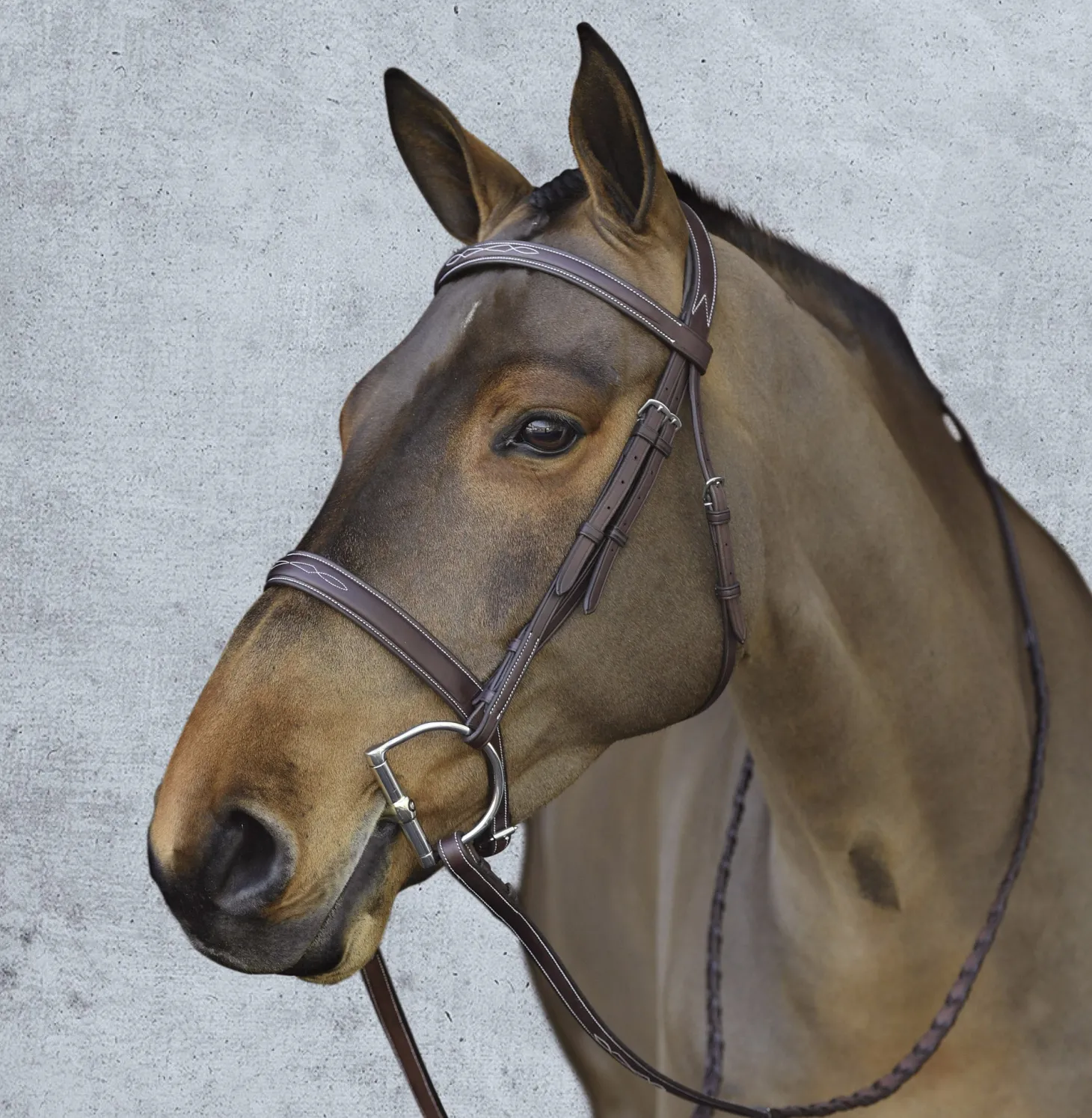 Pessoa® Pro Fancy-Stitched Wide Nose Bridle