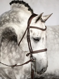 PS of Sweden Ocala Hunter Bridle