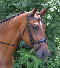 Red Barn Topline Bridle