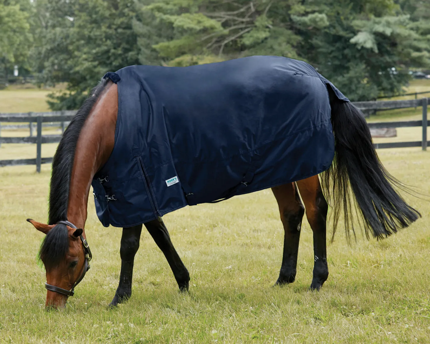 Rider’s International™ Heavyweight Turnout Blanket