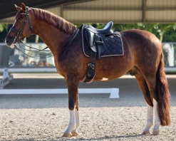 Rider’s International™ Luxury Dressage Pad