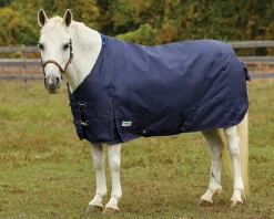 Rider’s International™ Pony Turnout Sheet