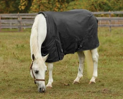 Rider’s International™ Pony Turnout Sheet