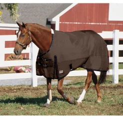 Rider’s International™ Supreme Heavyweight Turnout Blanket