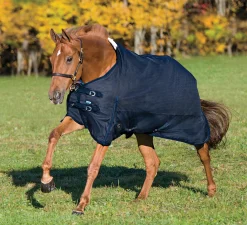 Rider’s International™ Supreme Medium-Weight Turnout Blanket