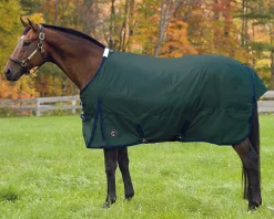 Rider’s International™ Supreme Medium-Weight Turnout Blanket