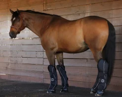 Rider’s International™ Shipping Boot Set