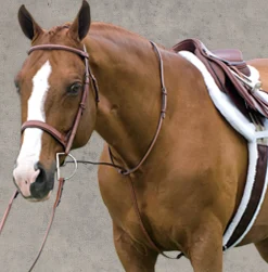 Rodrigo Raised Fancy Stitched Martingale